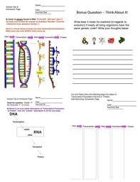 Transcription translation dna coloring transc and transl dna and protein worksheet with answers color code ach dna coloring transcription coloring activity replication worksheet transcription sheet and from transcription and translation worksheet answer key , source:oasisescapes.co. Kelsey Marie Hayes