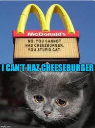 Image result for i can has cheezburger