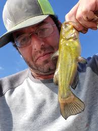 Can you catch catfish in the San Juan river below Navajo?