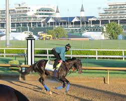 2021 preakness stakes contenders, odds. Slideshow Meet The 2021 Preakness Stakes Contenders America S Best Racing