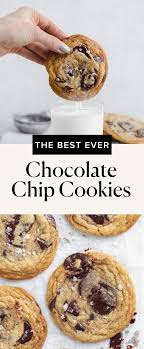 The Best Chocolate Chip Cookies Broma Bakery Recipe Bakery Chocolate Chip Cookies Gourmet Chocolate Chip Cookies Best Chocolate Chip Cookies Recipe