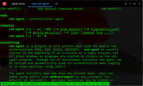 Categories The Coders Blog Software Project Management Object Oriented Programming Software Projects