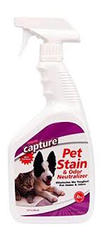 Biokleen Bac Out Stain And Odor Remover Pin On Dog Supplies