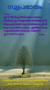 Pin By Eron On Good Morning Malayalam Best Positive Quotes Good Morning Inspirational Quotes Motivational Good Morning Quotes