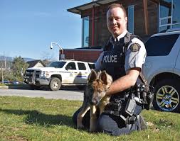 German shepherd newest RCMP trainee