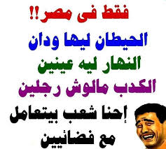 الشعب ده عسل والله Jokes Funny Quotes Arabic Jokes