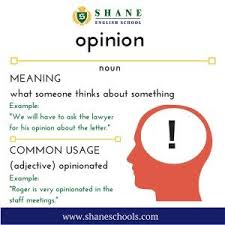 English Lesson 0110 Word Of The Day Opinion Shane English Schools Worldwide English Lessons Writing Lessons English Vocabulary