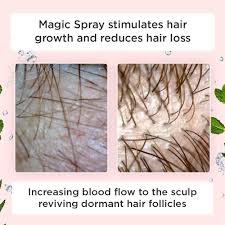 Herbal hair oil india, natural hair oil manufacturers & exporters. Buy Likato Magic Hair Growth Spray Organic Hair Growth Oil For Women And Men All Natural Herbal Hair Regrowth Oil Professional Anti Hair Loss Treatment One Bottle Per Course For