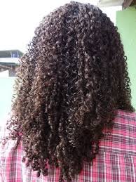 Anastacia 4a Natural Hair Style Icon 4a Natural Hair Long Hair Girl Long Hair Styles