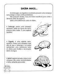 Caixa Magica De Surpresa Elias Jose 110 Atividades De Ciencias 1ª E 2ª Series
