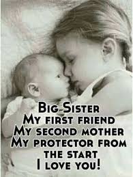 Birthday Caption For Little Sister In Hindi Top 100 Sister Quotes Sister Love Quotes Big Sister Quotes Sisters Quotes