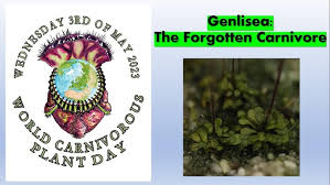 Image result for Genlisea