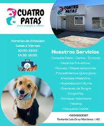 Clinica Veterinaria Cuatro Patas, Veterinaria en Los Ángeles.