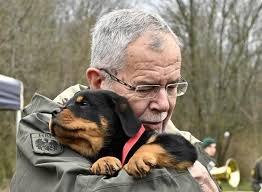 Alexander van der bellen kandidiert in österreich für das amt des bundespräsidenten. Welpentaufe Acht Neue Hunde Soldaten Fur Das Bundesheer Kurier At