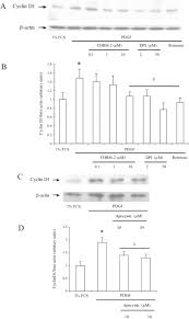 Carbon monoxide is an odorless, poisonous gas, which can be generated by gas furnaces and water heaters, ranges, space. Mitochondrial Respiratory Chain And Nad P H Oxidase Are Targets For Theantiproliferative Effect Of Carbon Monoxide In Human Airway Smoothmuscle Sciencedirect