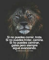 Aprende El Valor De La Lucha Frases Motivadoras Frases Frases Emprendedores