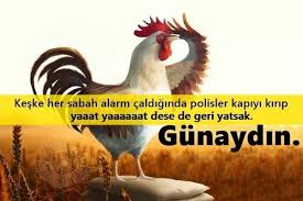 Komik Gunaydin Mesajlari 2019 Funny Animals Good Morning