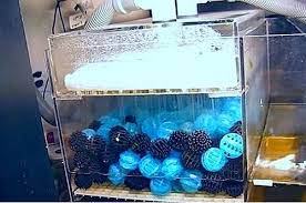 I dont have to use an air pump and. Wet Dry Sump Filters For Freshwater Reef Tanks Guide