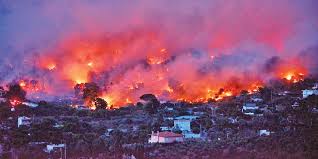 În 2019 au fost înregistrate mai multe incendii de pădure pe insulele din grecia, majoritatea fiind cauzate de condițiile din ce în ce mai aride. AtenÈ›ionare De CÄƒlÄƒtorie In Grecia Risc De Incendii Informateca