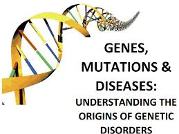17 best images of dna structure worksheet answer key. Https Www Asbmb Org Getmedia E2435e00 E9c3 4f66 B48b 108042aada44 Hopes 9 12 Genes 2 Instructor Worksheet Pdf