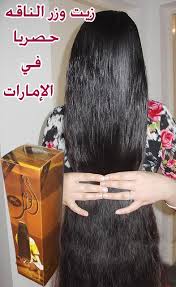 منتدى سيدات الإمارات