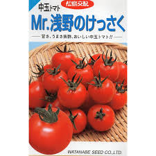 中玉トマト Mr 浅野のけっさく 小袋 19粒入り 郵便発送商品 Vt2210087 タネのノザキ ヤフー店 通販 Yahoo ショッピング