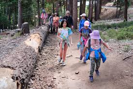 Hume Lake Trail — The Weekly Camper