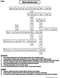 Work power and energy worksheets answers. Macromolecules Worksheet Crossword Puzzle By Science Spot Tpt