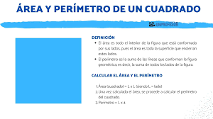 Un cuadrado también es un rectángulo (ángulos de 90°) y un rombo (lados iguales). Calcular El Area Y El Perimetro De Un Cuadrado Con Video Y Ejercicios