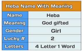 Hiba Name Meaning In Urdu And English Tech Livess