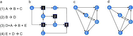 Isotope effects in chemical reactions. Identification Of Strategic Molecules For Future Circular Supply Chains Using Large Reaction Networks Reaction Chemistry Engineering Rsc Publishing