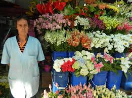 Desde Moleque Ele Vende Flores No Cemiterio E O Sentido Da Vida E Fazer As Coisas Bem Feitas Com Determinacao Vidaria