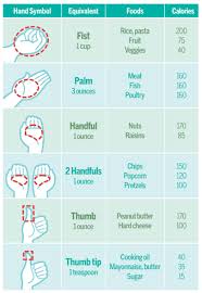 Handy Portion Control Health Health Fitness __cat__ Diet