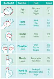 handy portion control health health fitness __cat__ diet