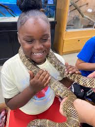 Roy Hyatt Environmental...