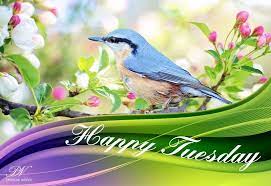Pin On Tuesday Quotes Wishes And Greetings