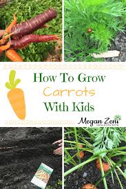 The basic parts from which a young plant, or seedling, develops. How To Grow Carrots With Kids