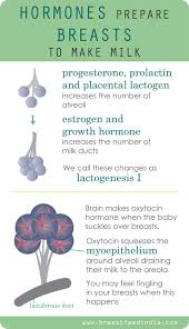 Pin On Breastfeeding
