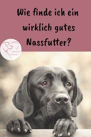 Woran Erkennt Man Gutes Dosenfutter Herzenshund Kerngesund Hunde Futter Hochwertiges Hundefutter Hundefutter