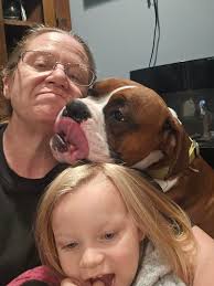 How long does it take for a boxer dog to get along with a kitten?