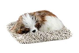 Des milliers de nouvelles images de grande qualité ajoutées chaque jour. Buy Perfect Petzzz Mini Baby Shih Tzu Puppy Dog Online At Low Prices In India Amazon In