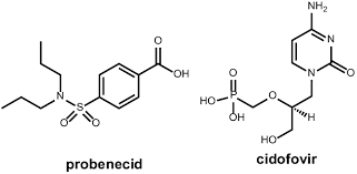 Image result for Probenecid