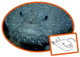 Coloring sea creatures pages luxury earth day page queens life An Ocean Of Art Noaa Office Of Ocean Exploration And Research