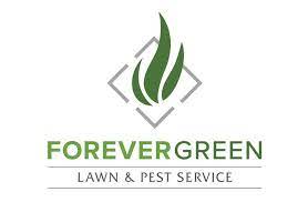 Creating a truly premium service we know you'll love. Forever Green Lawn And Pest Service Home Facebook