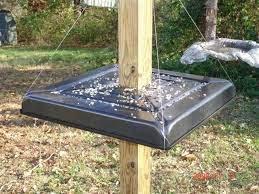 Homemade Squirrel Baffle Pics Is Working Great Squirrel Proof Bird Feeders Bird Feeders Wooden Bird Feeders