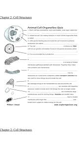 Check spelling or type a new query. 33 Label Animal Cell Quiz Labels For Your Ideas
