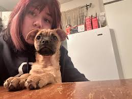 Should I be worried about no milk production?