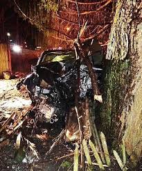 Milan man life-flighted after early morning crash