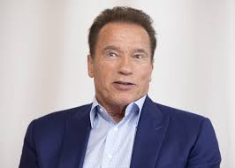 Arnold Schwarzenegger: „Ich hasse Politik“