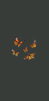 Ma'at luxe™ designer fabric wallpapers add texture and elegance to your home. Butterfly Bling In 2020 Butterfly Wallpaper Iphone Iphone Wallpaper Tumblr Aesthetic Butterfly Wallpaper